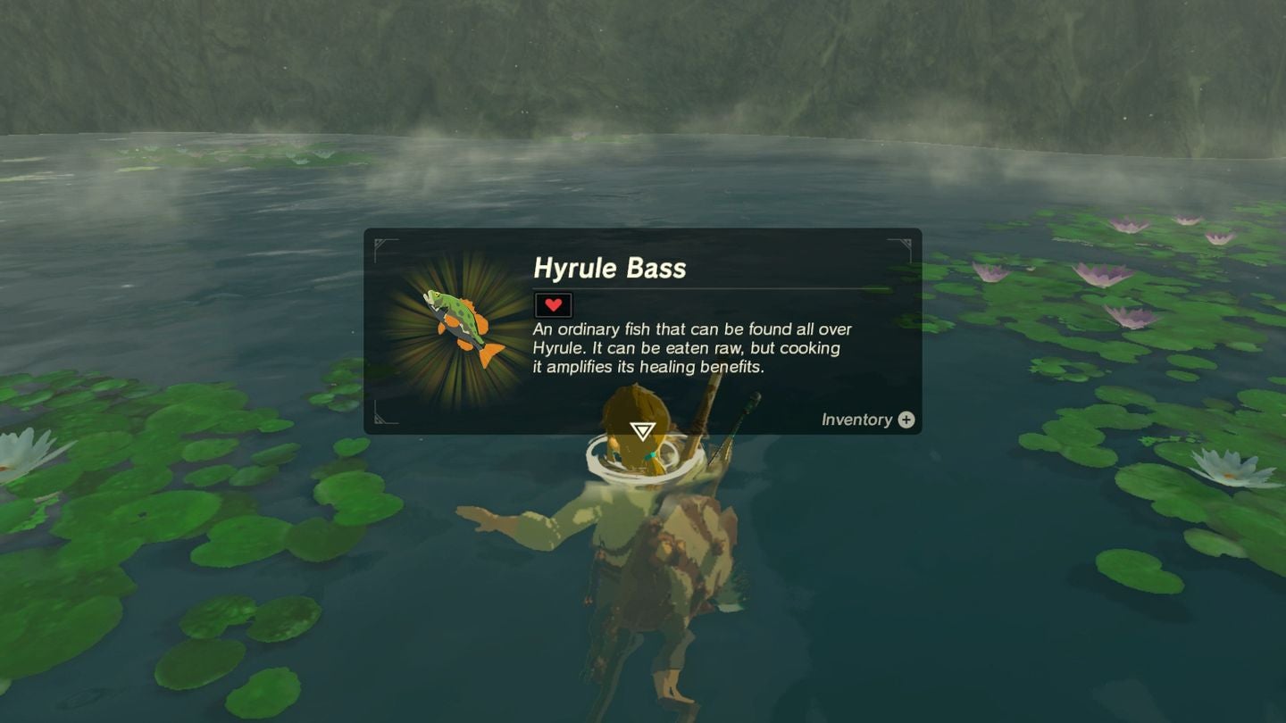 Zelda Breath of the Wild Getting cold resistance early with warm